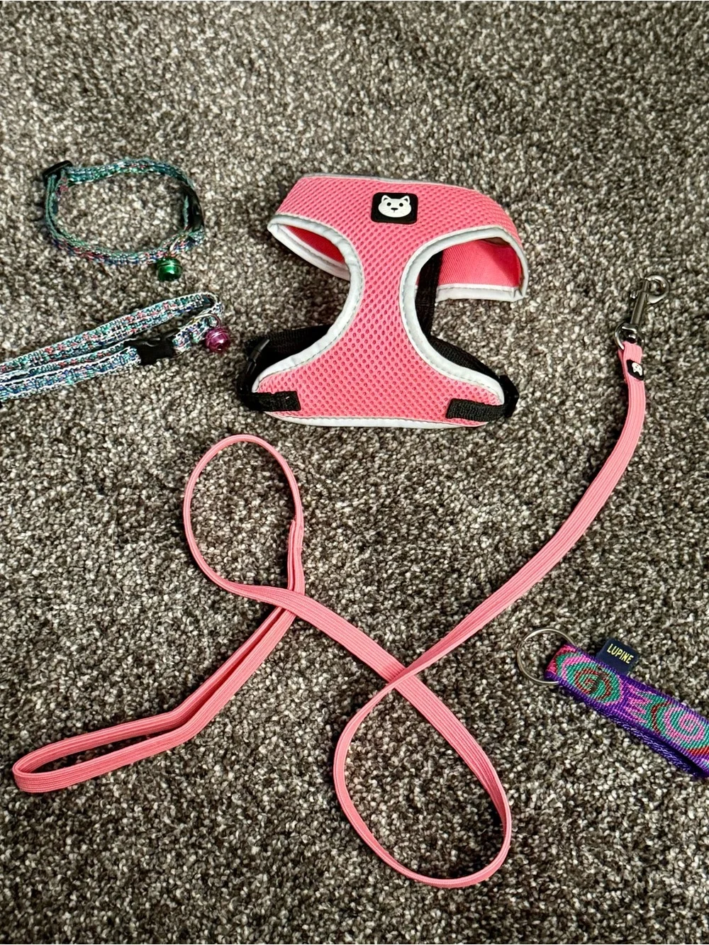 Kitty Collar, Harness & Leash Set